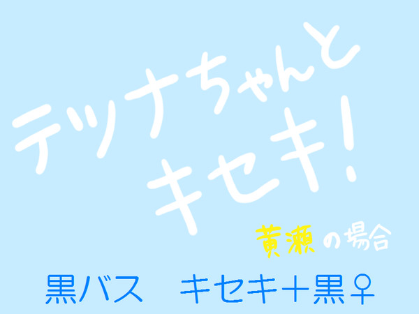 テツナちゃんとキセキ！　黄瀬ver