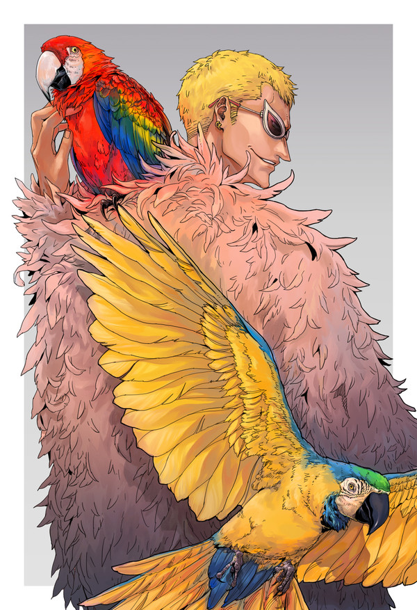 コンゴウインコ