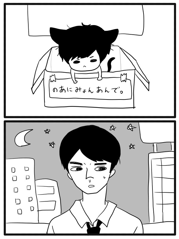 ～猫ソン、シウォナに拾われるの巻～