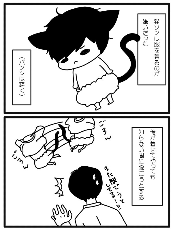 ～猫ソン、クリスマスプレゼントをもらうの巻～