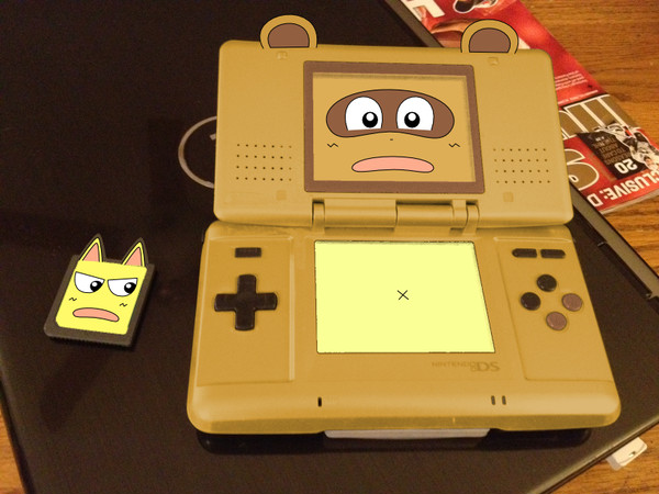 Tanuki DS