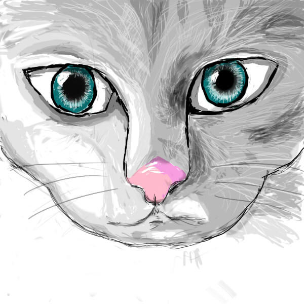 ねこ