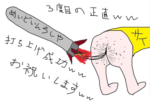 キムチだ！キムチだよ！キムチがやっと打ち上げに成功したよ！