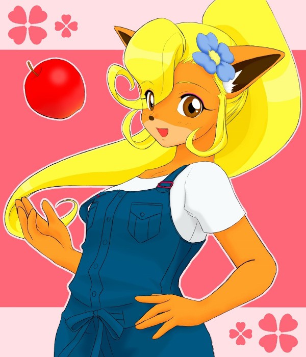 クラッシュくんの 賢い妹