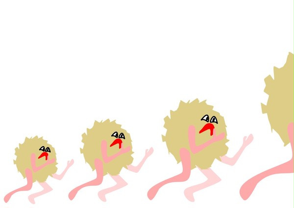 dash-mushikun