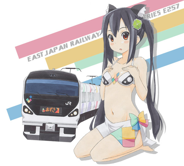 【擬人化?】E257系［あずさ］