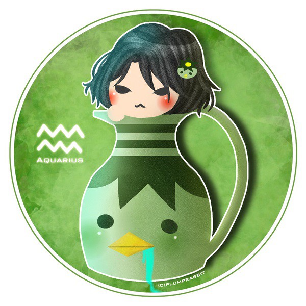 水瓶座Aquarius