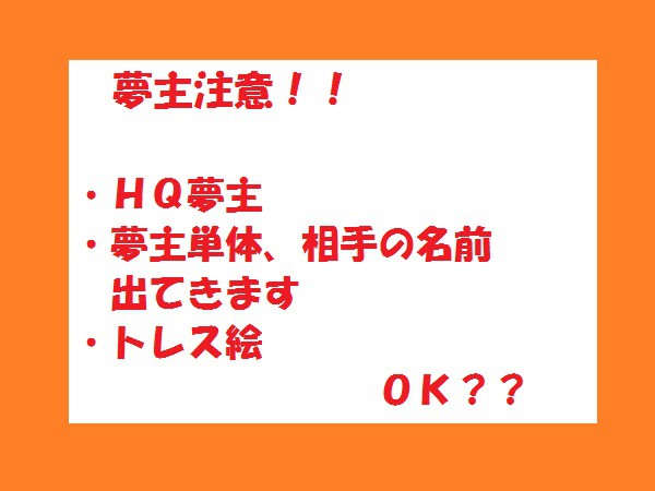 Ｈ/Ｑ夢主