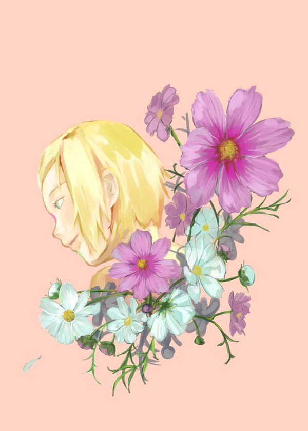 コスモス