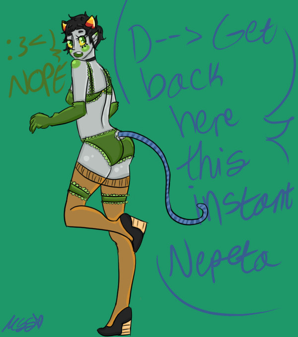 Nepeta