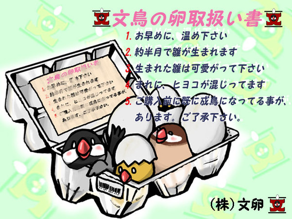 (株)文卵