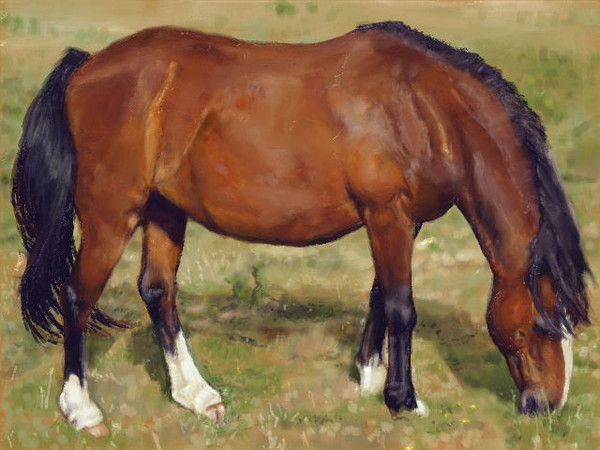 新絵心教室ミニレッスン「馬」