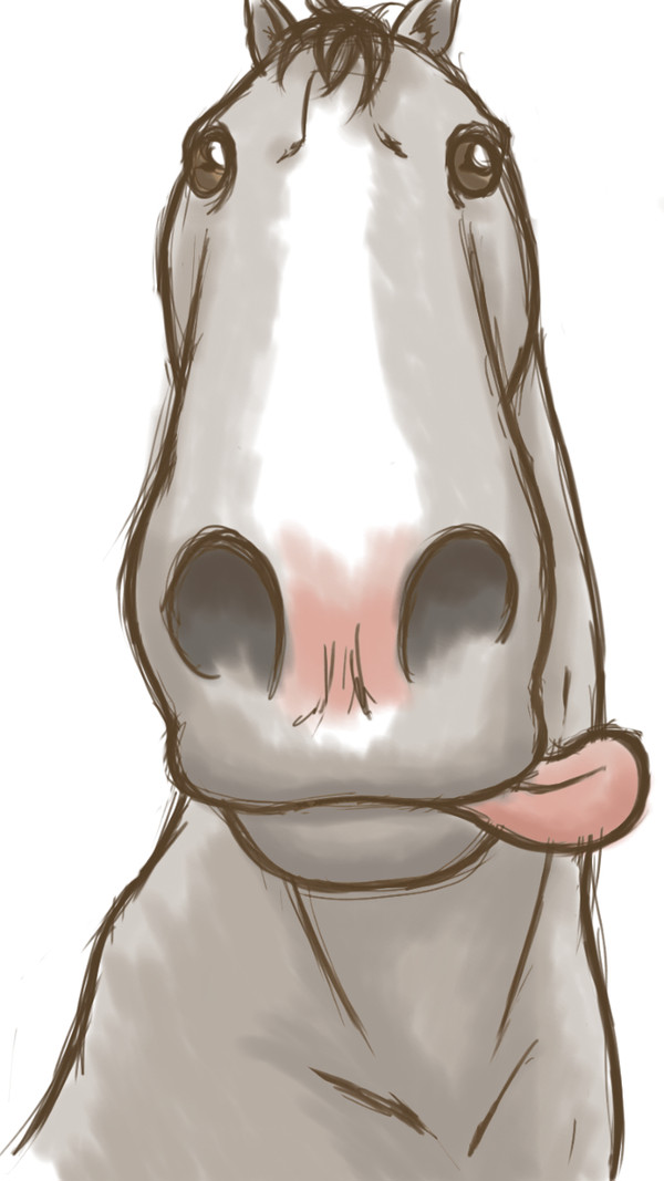 Latitude10試し描き