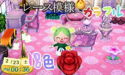 【とび森】マイデザイン１８色カラフルレース