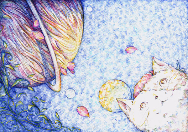 惑星と猫
