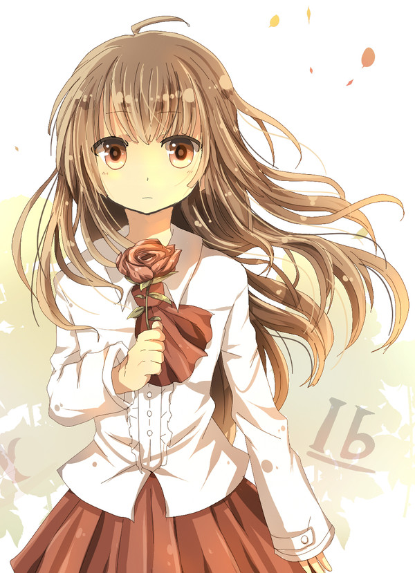 Ib