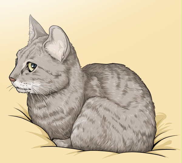 猫のイラスト