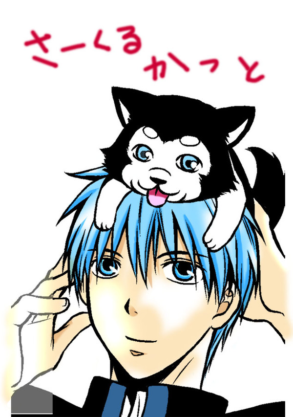 カラーにしてみた。