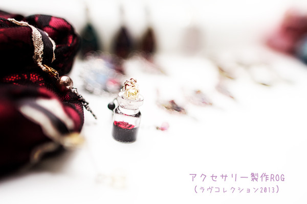 アクセサリーログ