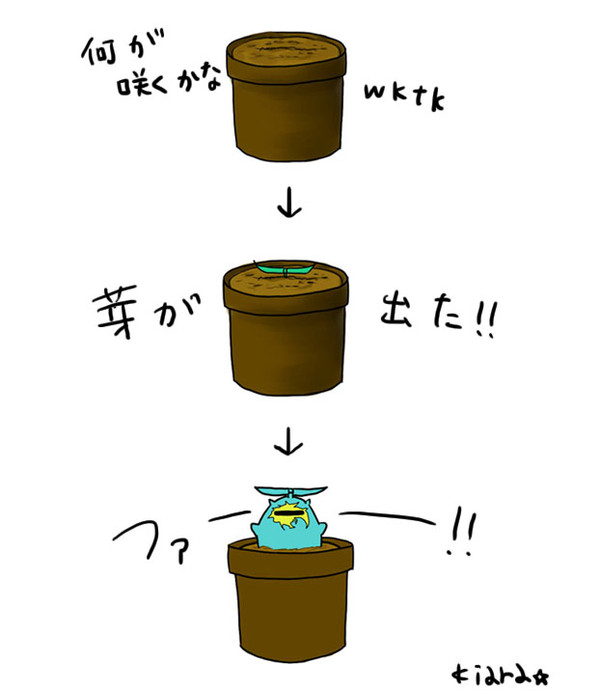 植えたら