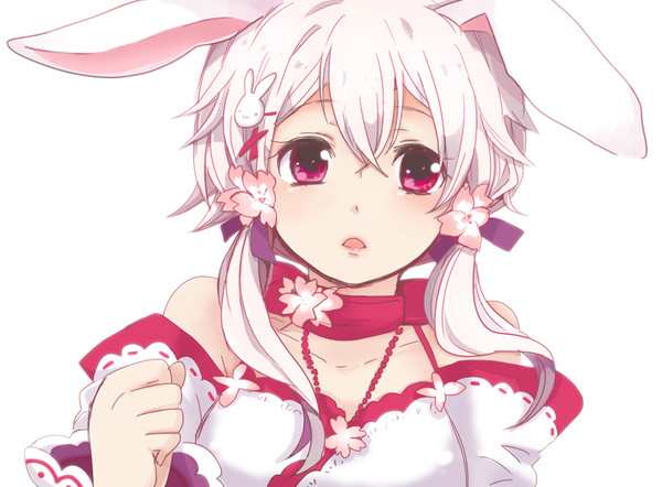 うさぎ