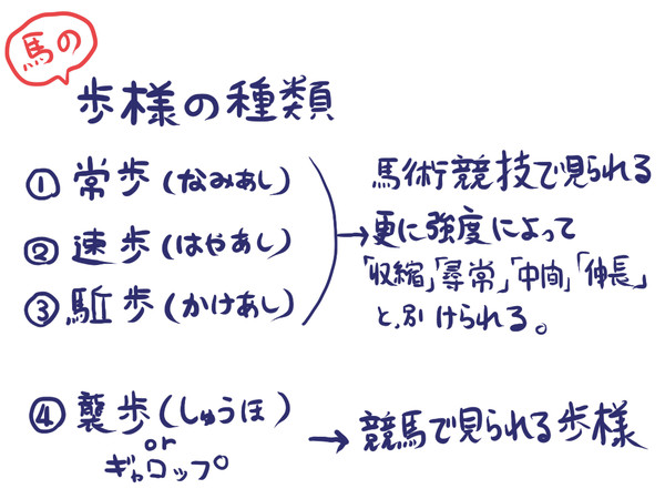 馬の歩様について
