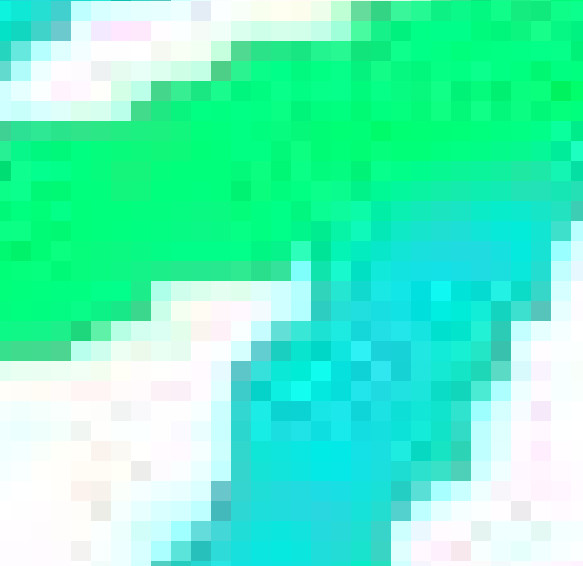 花弁b