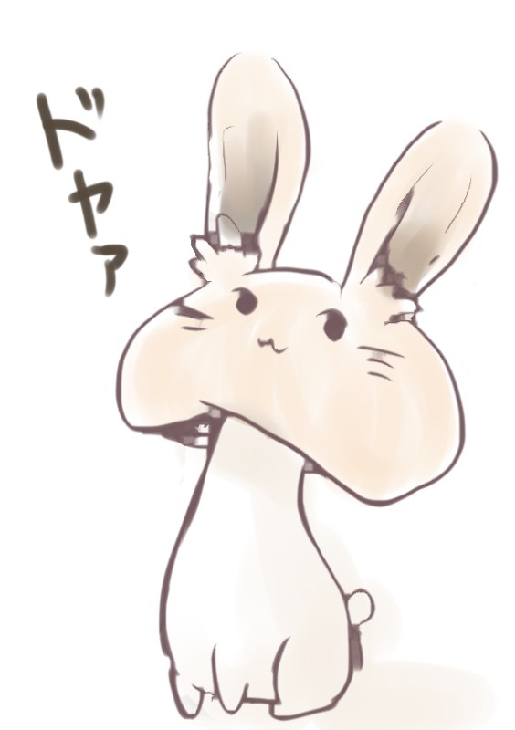 うさぎのこ