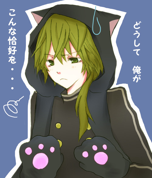 春草にゃん