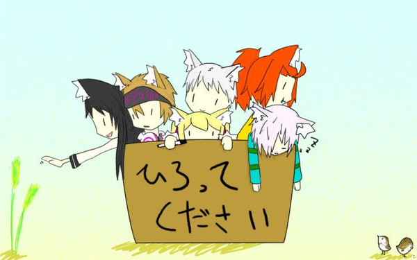 猫の日でしたね