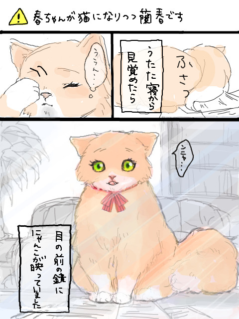 蘭にゃん春