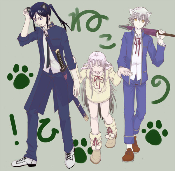 ねこたん（遅刻）