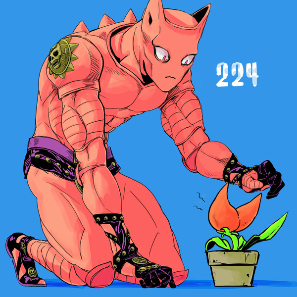 224