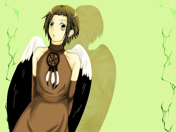 自分の描くオオワシは性別が謎…