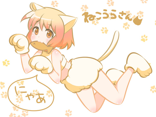 ねこみたいなことうらさん