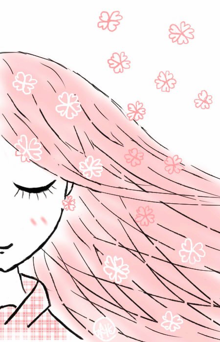 世界に一つだけの花