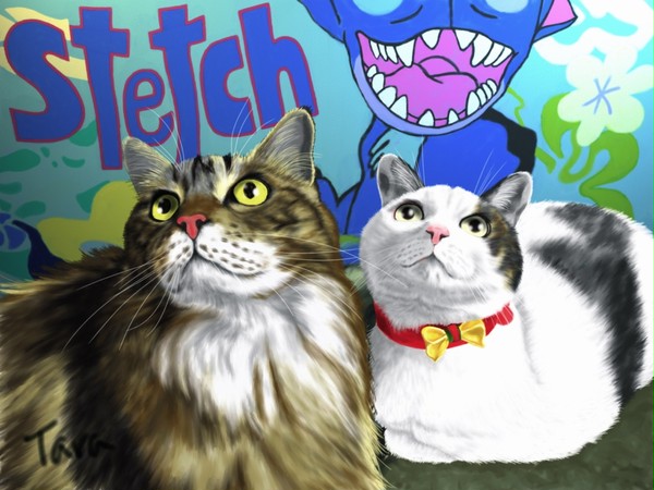 Maine coon and Japanese cat