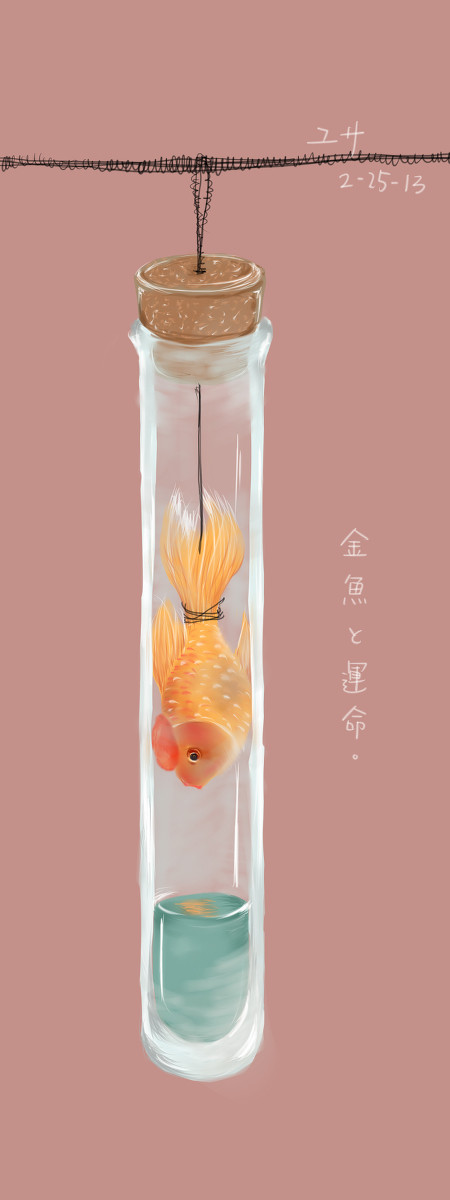 金魚と運命
