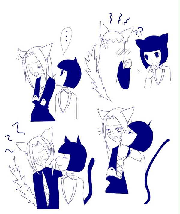 うそをついているあじがするにゃん