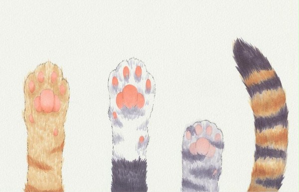 ねこのて