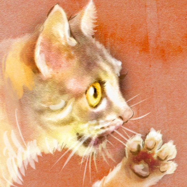 こねこがひぇー