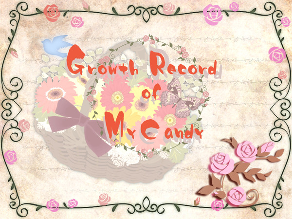 【正式目録】Growth Record of MyＣandy