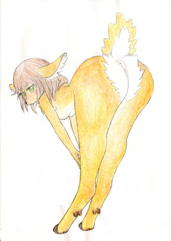 草食獣は、美脚♪