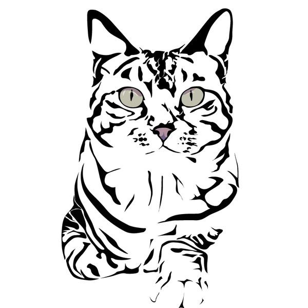 猫トレース２