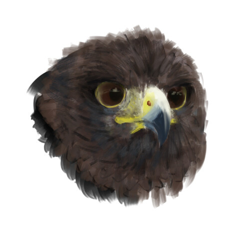 落書き