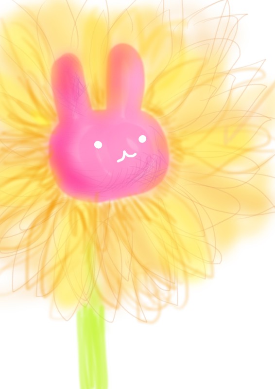 太陽のハナ