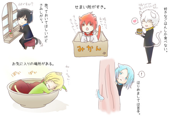 手乗りコドブレ＋にゃん