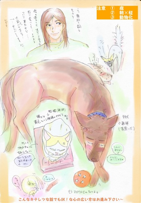 にゃんこの日で朝柾