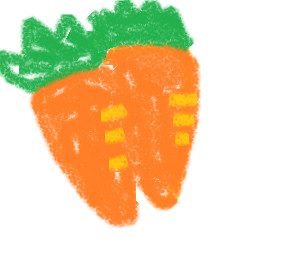 ☆carrot