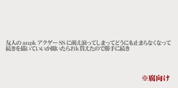 腐向け・アクゲー